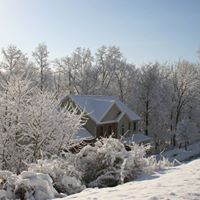 Tammy Blackmer Photo 7