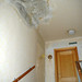 Anton Gruenes Photo 10