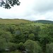 Glen Field Photo 15
