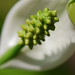 Jack Beyers Photo 7