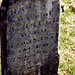 Nancy Baugh Photo 9