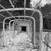 John Langdon Photo 34