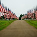 Jerry Ferguson Photo 46