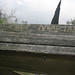 Gina Woods Photo 21