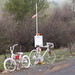 Harold Pendleton Photo 5