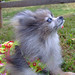 Susan Spitz Photo 15