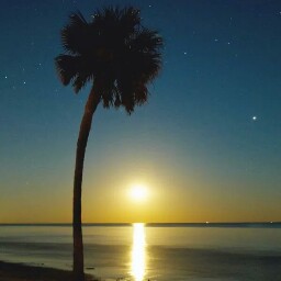Ed Schuler Photo 4
