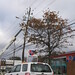 Douglas Robie Photo 6