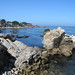 Kathy Grove Photo 15