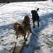 Elsa Baxter Photo 14
