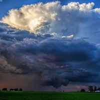 Terence Rice Photo 29