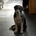 Rosie Beard Photo 11
