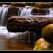 Janey Brown Photo 10