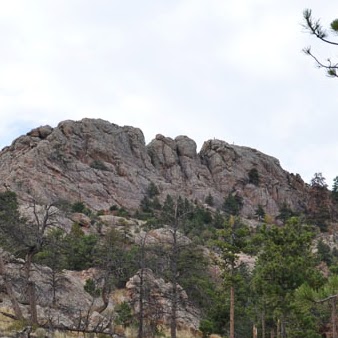 William Jacobson Photo 57