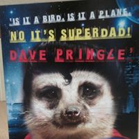 Dave Pringle Photo 18
