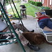 Karen Winston Photo 17