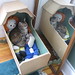Virginia Foster Photo 24