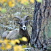 Robin Merritt Photo 10