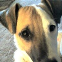 Connie Willis Photo 10