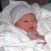 Alice Lynch Photo 29