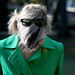 Rebecca Ivey Photo 23
