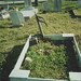 Jessie Hill Photo 19