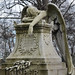 Angel Stark Photo 25