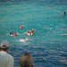 Judy Clarke Photo 10