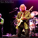 David Cantor Photo 14