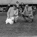 Bert Proctor Photo 5