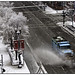 Randolph Snow Photo 5