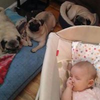 Jennifer Busse Photo 14