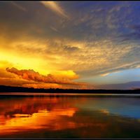 John Monteiro Photo 25