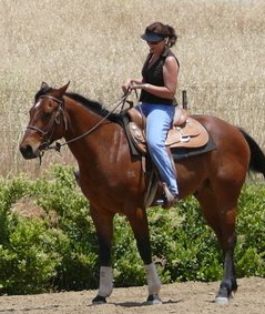 Sheri Lane Photo 26