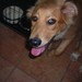 Ricky May Photo 35