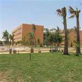 Akram Mustafa Photo 16