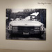 Pam Wise Photo 30