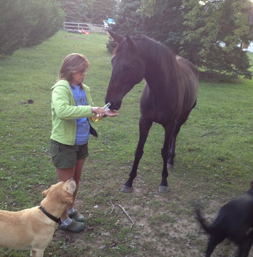 Nancy Bentley Photo 26