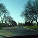 Lorie West Photo 13
