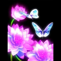 Stacey Hutchinson Photo 4