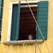 James Conto Photo 11