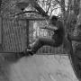 Martin Ellis Photo 12