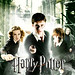Harry Torres Photo 22