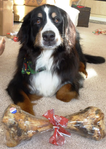 Debra Simpkins Photo 20