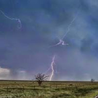 Colleen Webb Photo 39
