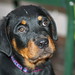 Mary Fabrizio Photo 14