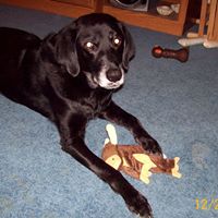 Debbie Locke Photo 29