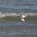 Gary Avery Photo 9