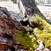 Fred Wood Photo 39