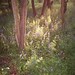 Max Wood Photo 29
